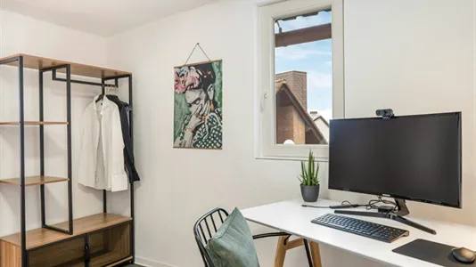 Houses in Waldeck-Frankenberg - photo 9