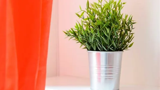 Rooms in Milano Zona 6 - Barona, Lorenteggio - photo 5