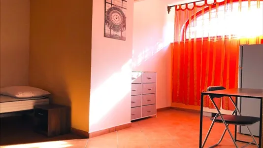 Rooms in Roma Municipio XI – Arvalia/Portuense - photo 5