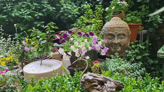 Rooms in Frankfurt Innenstadt I - photo 5