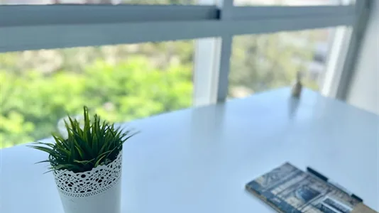 Rooms in El Cerezo - photo 4