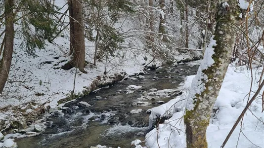 Houses in Deutsch-Griffen - photo 7