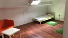 Room for rent, Maastricht, Limburg, Herbenusstraat