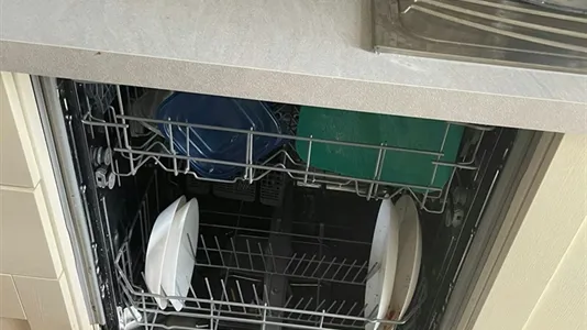 Rooms in Pisa - photo 7