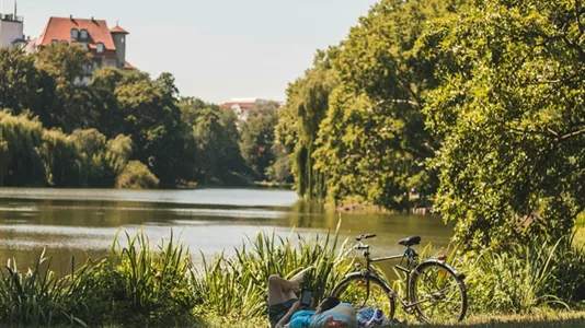 Apartments in Berlin Charlottenburg-Wilmersdorf - photo 6