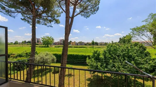 Rooms in Padua - photo 7