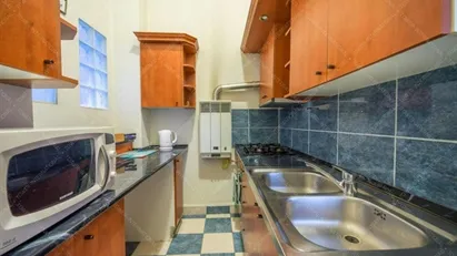 Apartment for rent in Budapest Erzsébetváros, Budapest