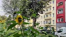 Apartment for rent, Berlin Mitte, Berlin, &lt;span class=&quot;blurred street&quot; onclick=&quot;ProcessAdRequest(7709016)&quot;&gt;&lt;span class=&quot;hint&quot;&gt;See streetname&lt;/span&gt;[xxxxxxxxxxxxx]&lt;/span&gt;
