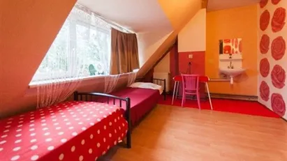 Room for rent in Rotterdam