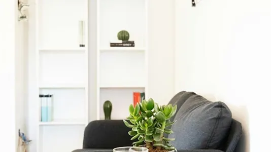 Rooms in Padua - photo 3