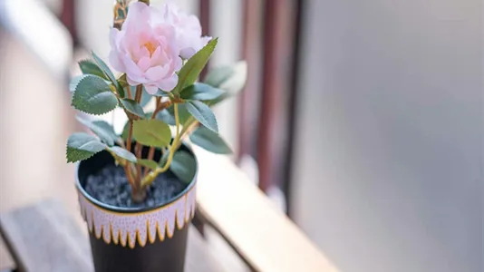 Rooms in Milano Zona 6 - Barona, Lorenteggio - photo 5