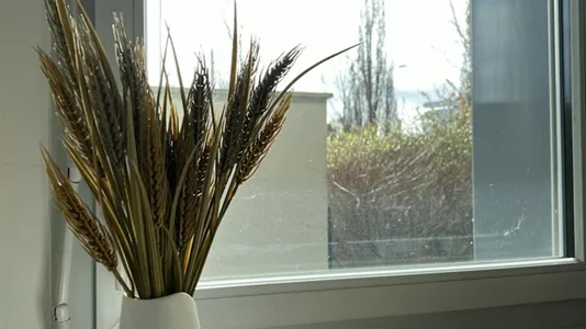 Apartments in Toulouse - photo 5