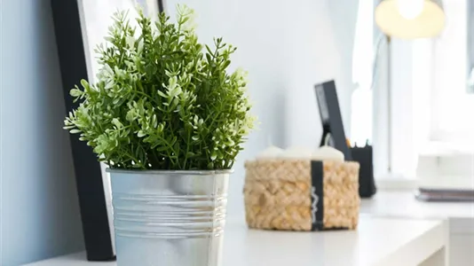 Rooms in Milano Zona 1 - Centro storico - photo 9