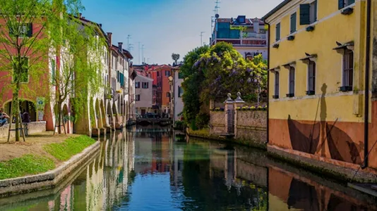 Rooms in Treviso - photo 10