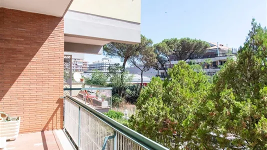 Rooms in Roma Municipio VIII – Appia Antica - photo 7