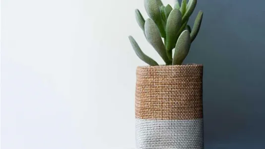 Rooms in Milano Zona 6 - Barona, Lorenteggio - photo 5