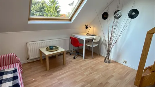 Rooms in Brussels Sint-Lambrechts-Woluwe - photo 7