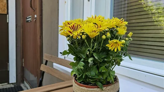 Apartments in Turku - photo 7