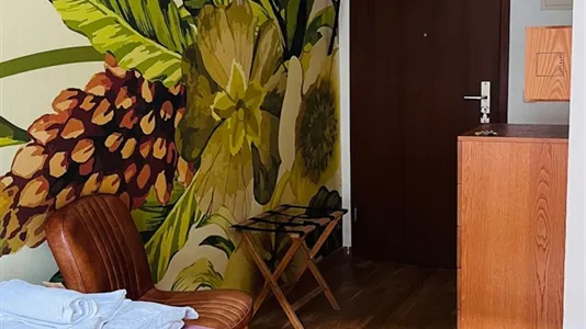 Apartments in Mannheim - photo 3