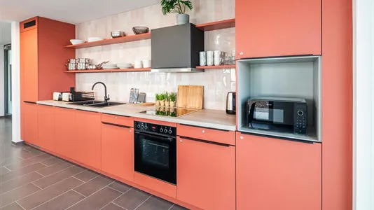 Apartments in Tübingen - photo 7