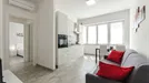 Apartment for rent, Bologna, Emilia-Romagna, Via Irnerio, Italy
