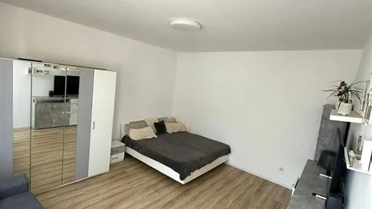 Apartments in Mannheim - photo 1
