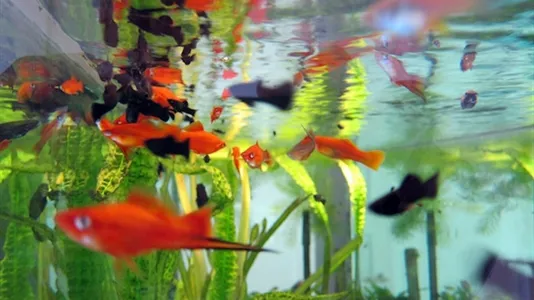 Rooms in Reykjavík Miðborg - photo 10