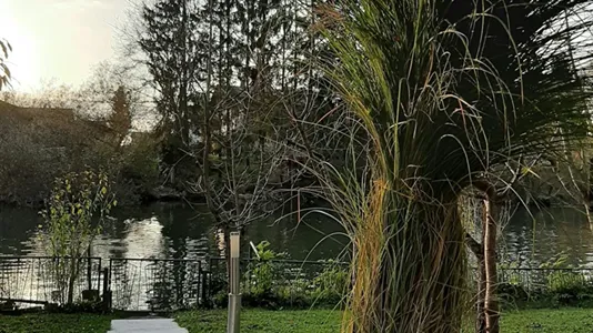 Houses in Besnica - photo 10