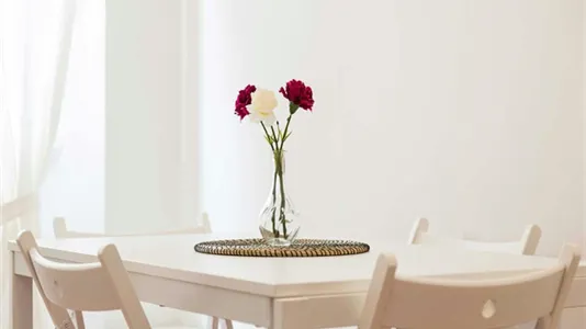 Rooms in Milano Zona 3 - Porta Venezia, Città Studi, Lambrate - photo 8