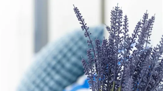 Rooms in Turin - photo 9