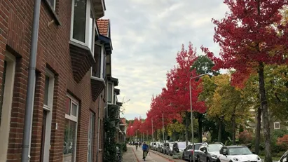 Room for rent in Delft, South Holland