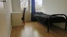 Room for rent, Rotterdam Prins Alexander, Rotterdam, Den Uylsingel, The Netherlands