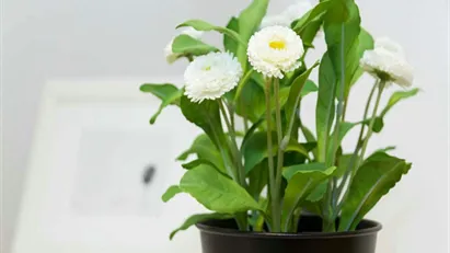 Room for rent in Milano Zona 6 - Barona, Lorenteggio, Milan