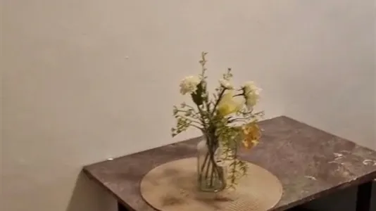 Rooms in Vienna Floridsdorf - photo 5