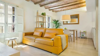 Apartment for rent in Barcelona Ciutat Vella, Barcelona