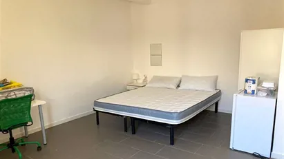 Room for rent in Roma Municipio VI – Roma Delle Torri, Rome