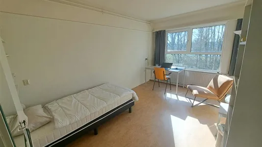 Rooms in Nijmegen - photo 1