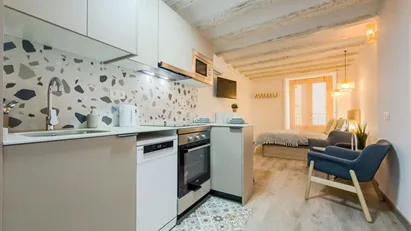 Apartment for rent in Barcelona Ciutat Vella, Barcelona Apartment for rent in Barcelona Ciutat Vella, Barcelona
