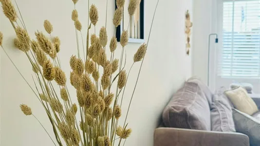 Houses in Noordwijk - photo 6