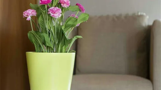 Rooms in Milano Zona 9 - Porta Garibaldi, Niguarda - photo 6