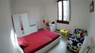 Room for rent, Florence, Toscana, Via della Cernaia, Italy