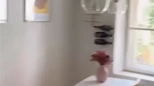 Apartments in Munich Neuhausen-Nymphenburg - photo 4