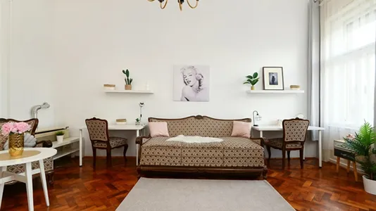 Apartments in Budapest Ferencváros - photo 10