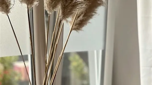 Apartments in Cologne Innenstadt - photo 2