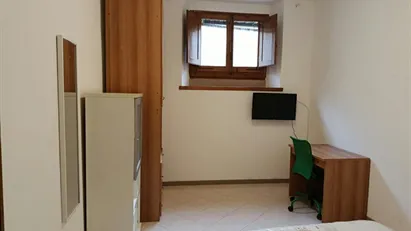 Room for rent in Florence, Toscana