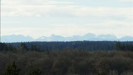 Rooms in Munich Thalkirchen-Obersendling-Forstenried-Fürstenried-Solln - photo 8