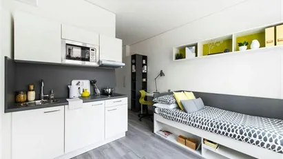 Apartment for rent in Frankfurt (region)