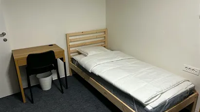 Room for rent in Besnica, Osrednjeslovenska