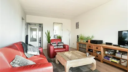 Apartment for rent in Amsterdam Noord, Amsterdam