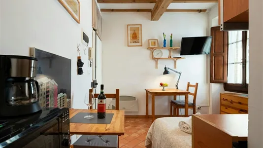 Apartments in Florence - photo 6